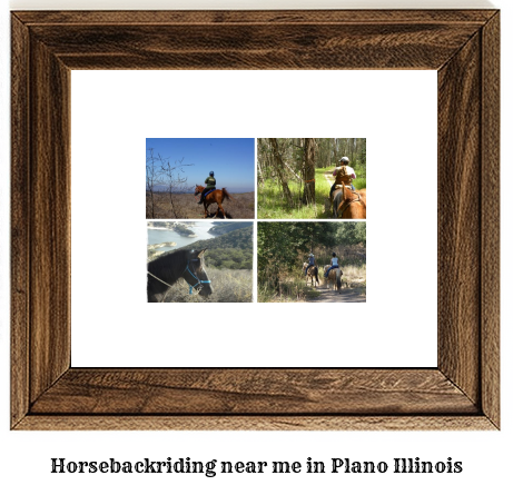 horseback riding near me in Plano, Illinois